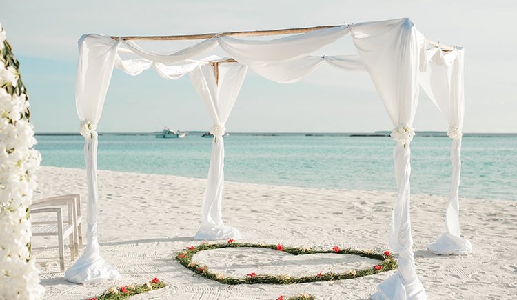 Width 750px x Height 435px